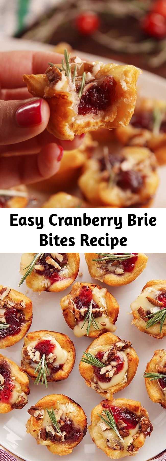 Easy Cranberry Brie Bites Recipe - These Cranberry Brie Bites are perfect for your next holiday party. Why make dough from scratch when everyone loves the canned stuff?! These little guys are the perfect appetizer to make during the holidays. Be warned: It'll forever change the way you think about brie. #easy #recipe #holidays #christmas #thanksgiving #party #appetizer #fingerfoods #apps #ideas #dinner #cranberry #brie #bites #muffintin #baked #crescentroll #pillsbury #bakedbrie