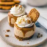 Six no-bake mini Biscoff cheesecakes on a serving plate — crunchy cookie crusts, creamy cookie-butter filling, drizzled Biscoff topping, garnished with whipped cream and cookie crumbs.