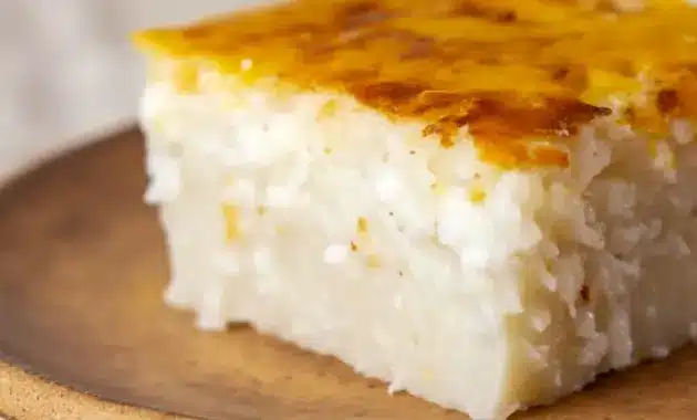 Close-up of a golden Sticky Coconut Cake square with sticky shredded coconut and a toasted crust — a classic Indonesian Dessert Recipes snack.