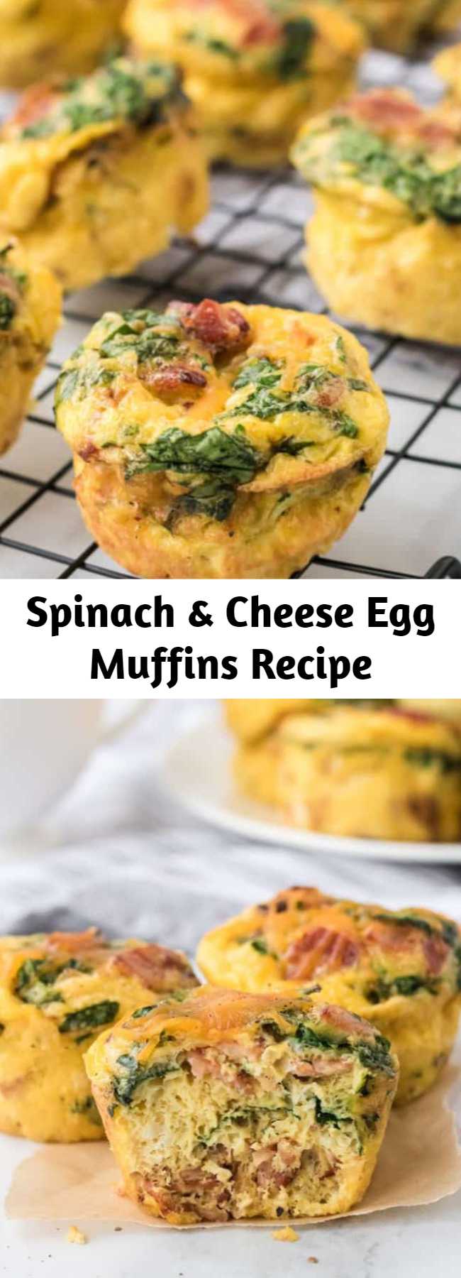 Spinach & Cheese Egg Muffins Recipe – Mom Secret Ingrediets