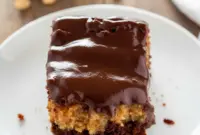 A rich Ooey Gooey Cake topped with glossy ganache, blending chocolate and peanut butter layers in the ultimate Chocolate Peanut Butter Desserts masterpiece.