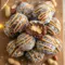 No-bake chocolate peanut butter snowballs coated in smooth chocolate and finished with a caramel drizzle, arranged on a festive holiday plate for Christmas dessert inspiration.