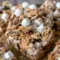 Delicious bars of Golden Graham S'mores Dessert loaded with melted marshmallows, chocolate chips, and crunchy cereal — a fun S'mores Recipe With Golden Grahams that works perfectly as a Tailgate Dessert Idea or quick party sweet.